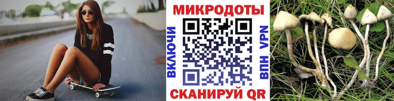 Псилоцибиновые грибы GOLDEN TEACHER  Мантурово 